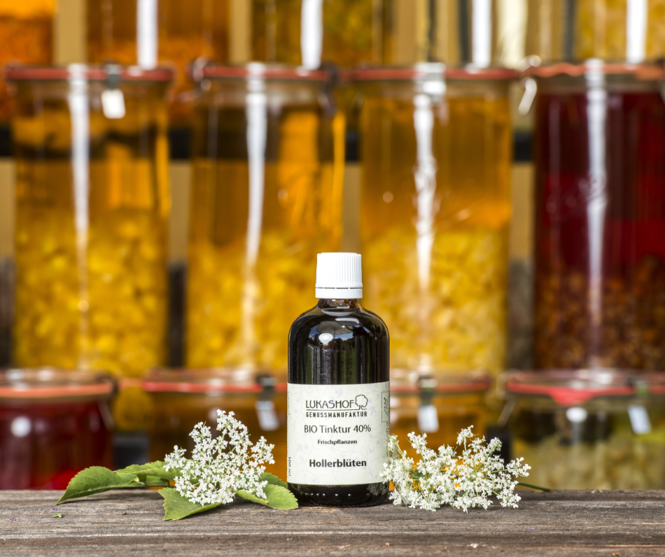 Hollerblüten Olivenölauszug Bio