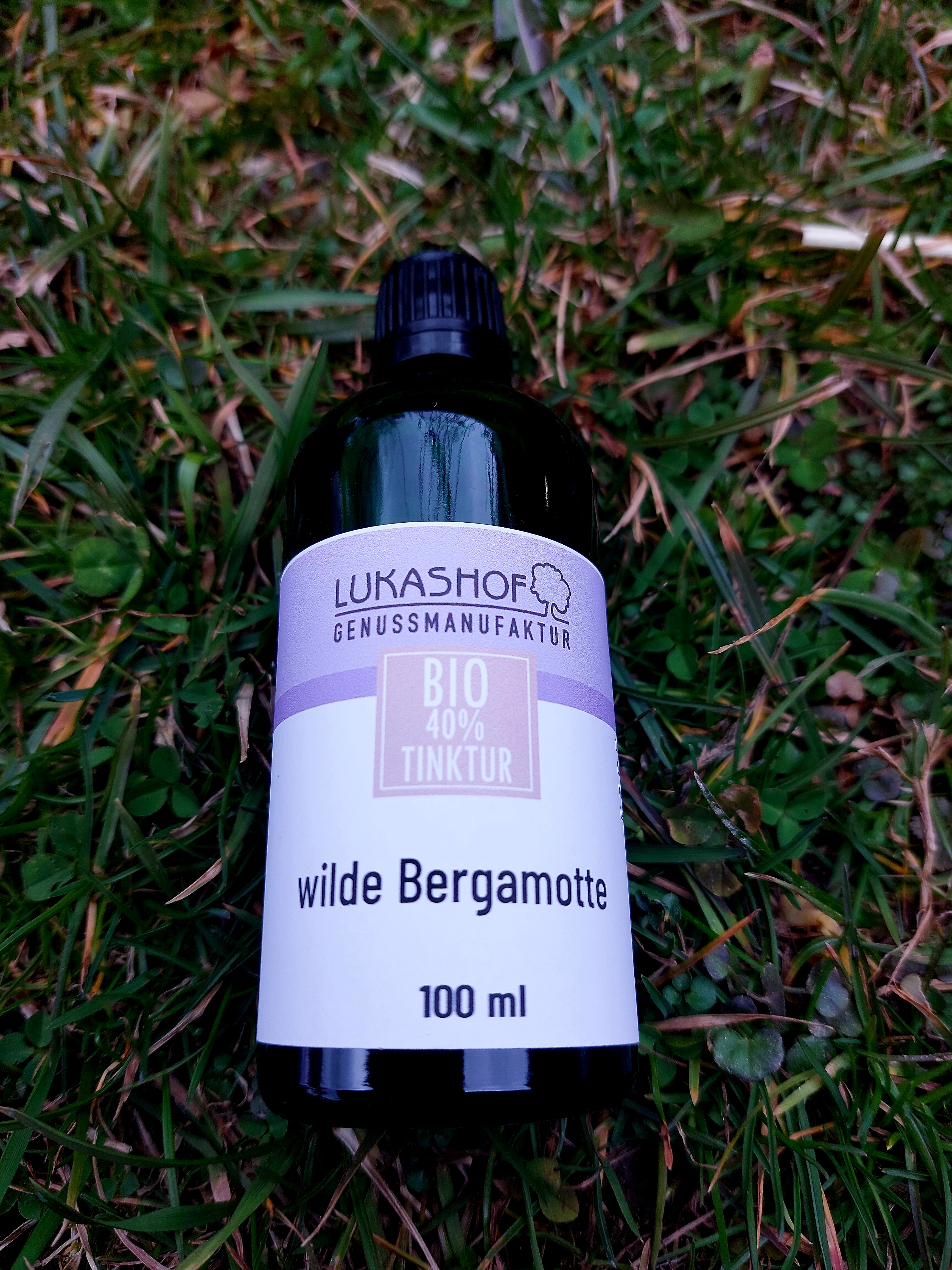 Wildbergamotte Tinktur 40% Bio