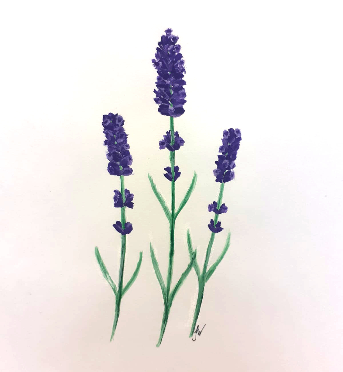 Lavendel-Hydrolat Bio