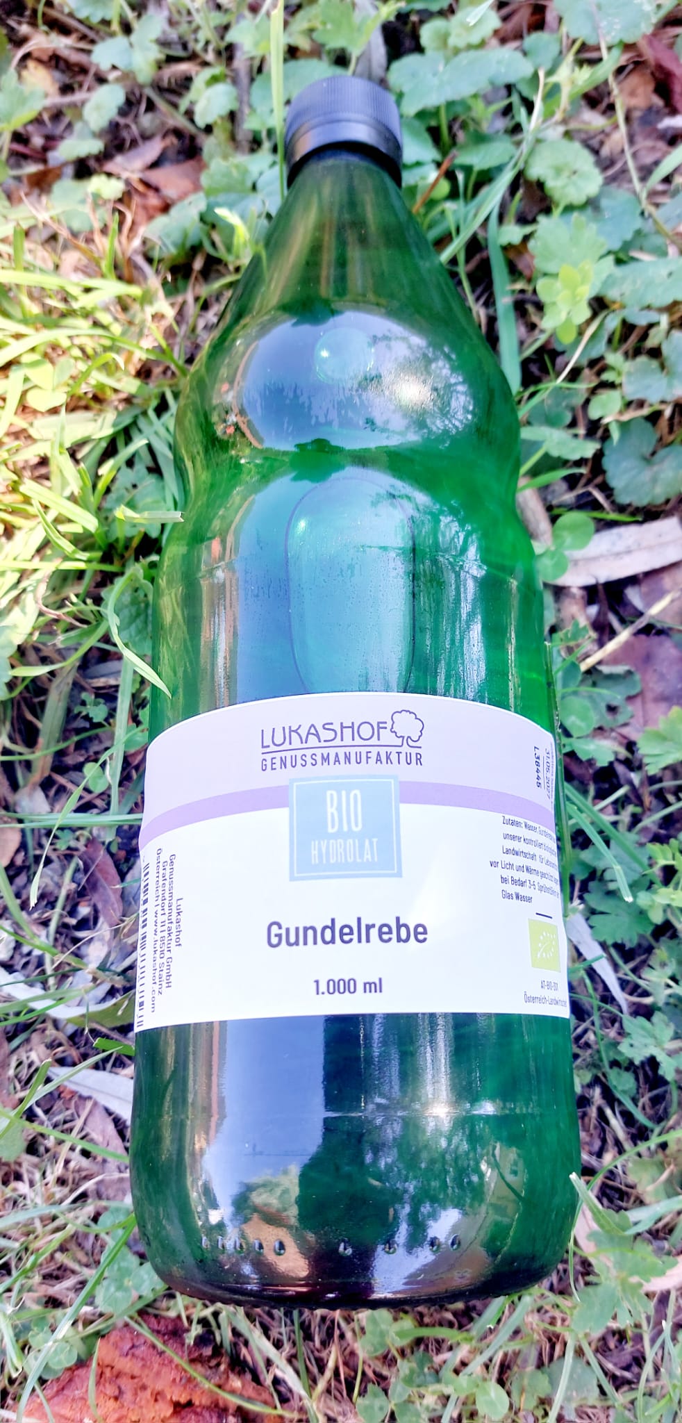 Gundelrebe-Hydrolat Bio