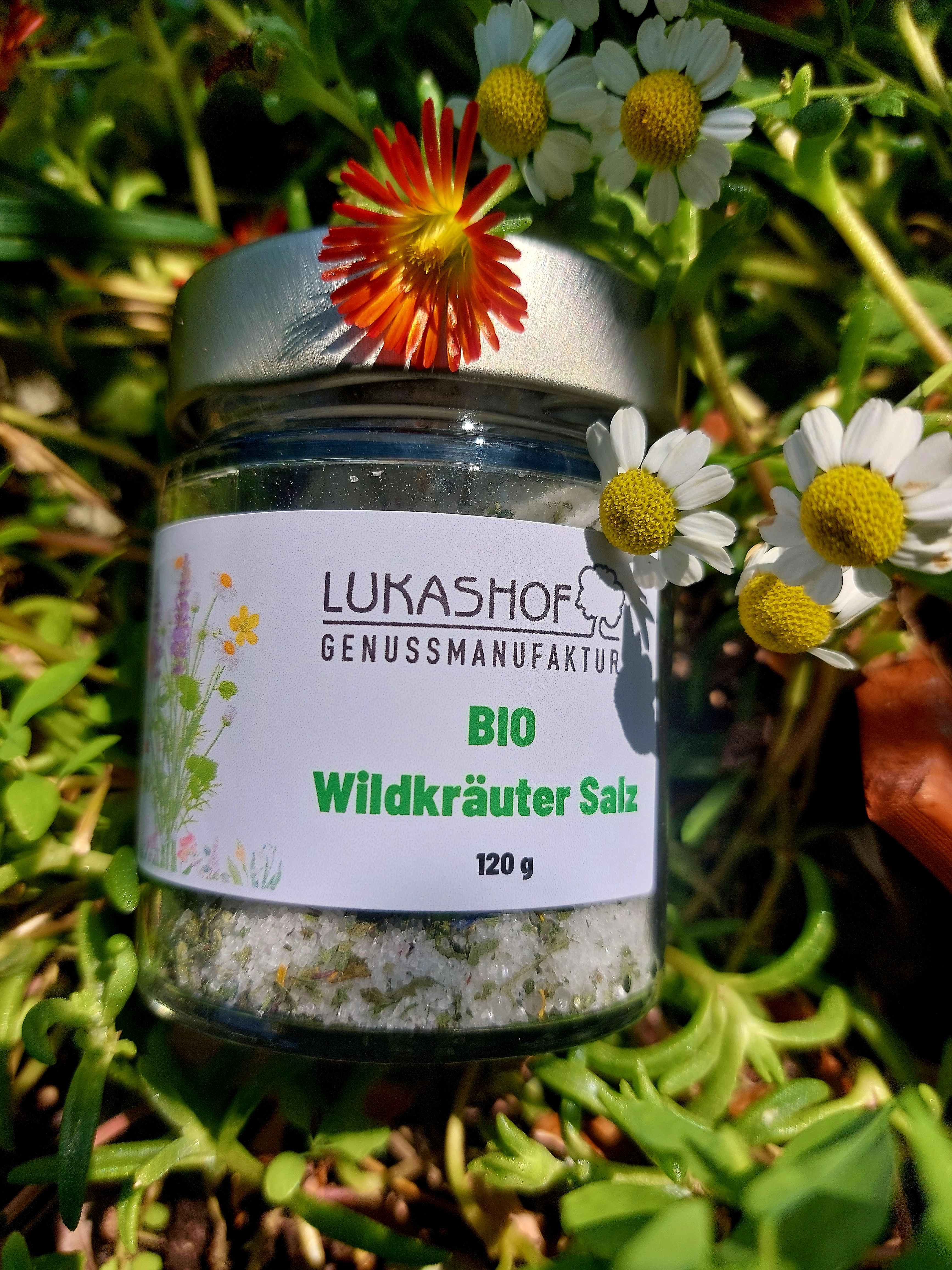 Wildkräuter Salz 120g Bio